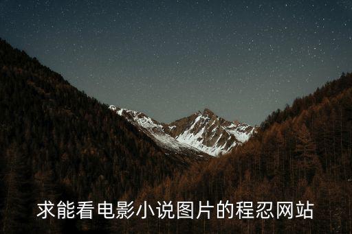 求能看電影小說圖片的程忍網(wǎng)站