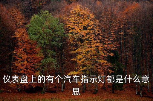 儀表盤上的有個汽車指示燈都是什么意思
