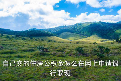 網上公積金提取，自己交的住房公積金怎么在網上申請銀行取現