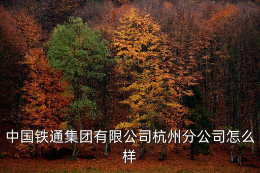 田利民，中國鐵通集團(tuán)有限公司杭州分公司怎么樣