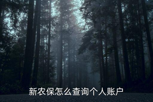 新農保怎么查詢個人賬戶