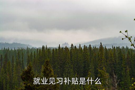 就業(yè)見習(xí)補(bǔ)貼是什么