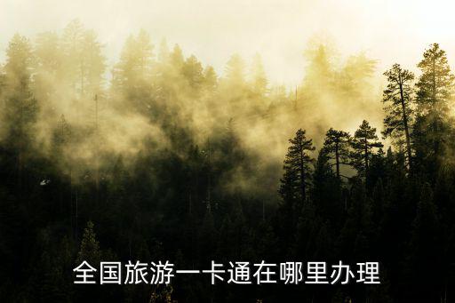 全國旅游一卡通在哪里辦理