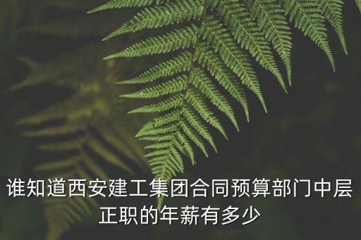 西安建工集團(tuán)，誰知道西安建工集團(tuán)合同預(yù)算部門中層正職的年薪有多少