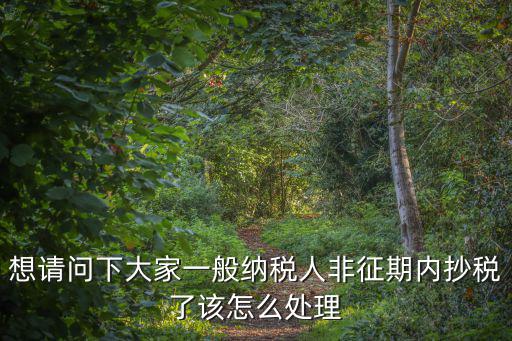 想請問下大家一般納稅人非征期內(nèi)抄稅了該怎么處理