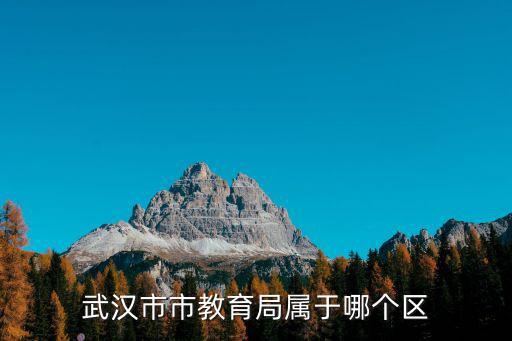 武漢教育信息網，武漢市教育局在呀