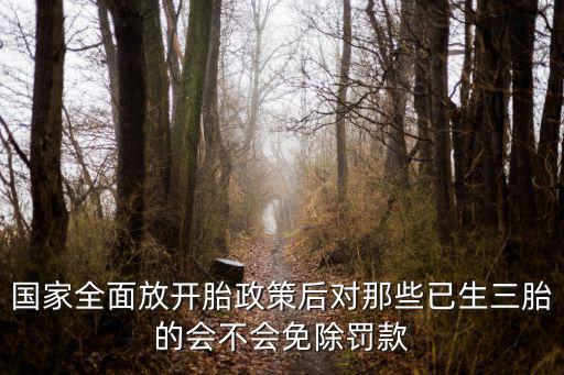 國家全面放開胎政策后對那些已生三胎的會(huì)不會(huì)免除罰款