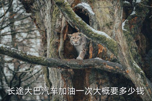 汽車加油，長(zhǎng)途大巴汽車加油一次大概要多少錢
