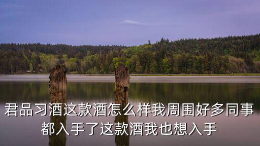 君品習酒這款酒怎么樣我周圍好多同事都入手了這款酒我也想入手