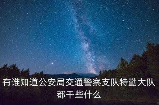 有誰知道公安局交通警察支隊特勤大隊都干些什么