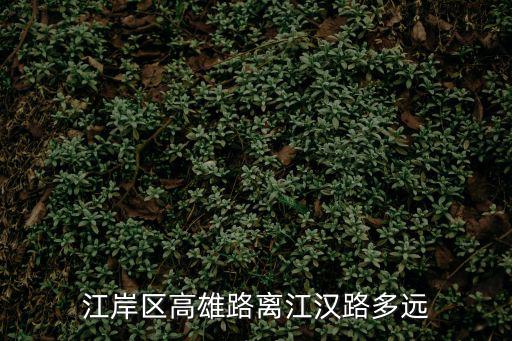 江岸區高雄路離江漢路多遠