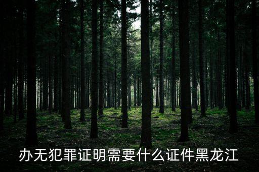 辦無犯罪證明需要什么證件黑龍江