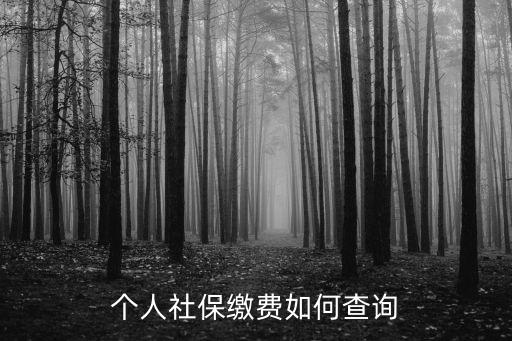 個人社保繳費(fèi)如何查詢
