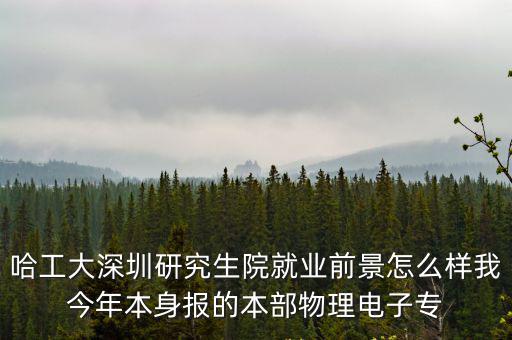 哈工大深圳研究生院就業(yè)前景怎么樣我今年本身報的本部物理電子專