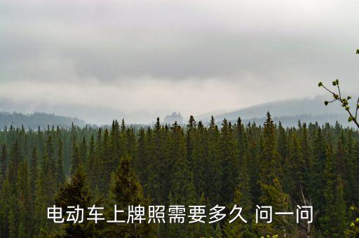 電動車上牌要多久，電動車上牌照要多久