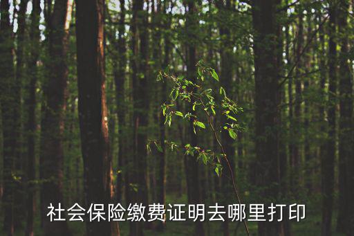 社會保險繳費證明去哪里打印