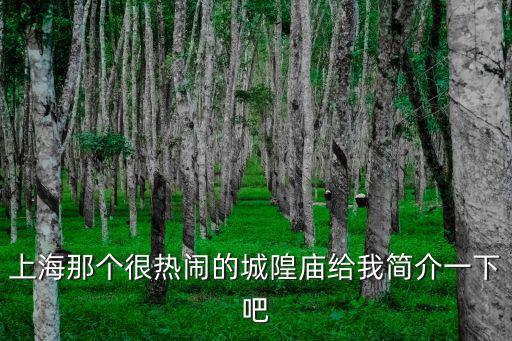 上海那個很熱鬧的城隍廟給我簡介一下吧