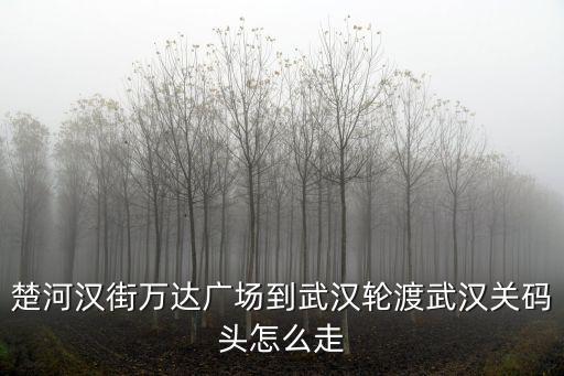 楚河漢街萬達廣場到武漢輪渡武漢關碼頭怎么走