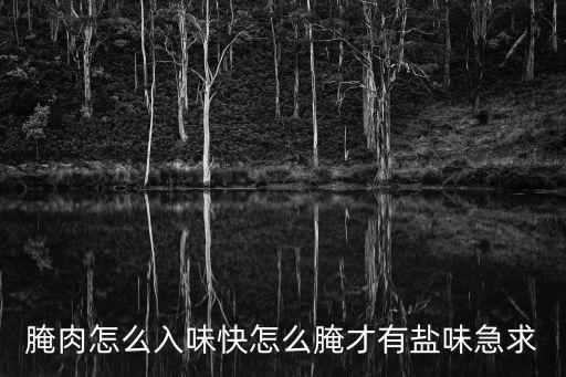 腌肉怎么入味快怎么腌才有鹽味急求