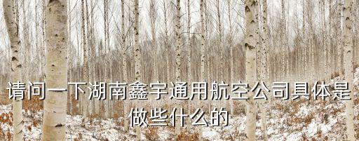 請問一下湖南鑫宇通用航空公司具體是做些什么的