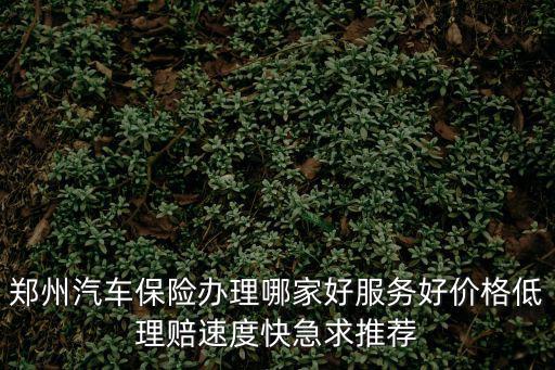 鄭州汽車保險辦理哪家好服務(wù)好價格低理賠速度快急求推薦