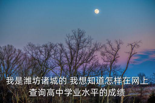 我是濰坊諸城的 我想知道怎樣在網上查詢高中學業水平的成績