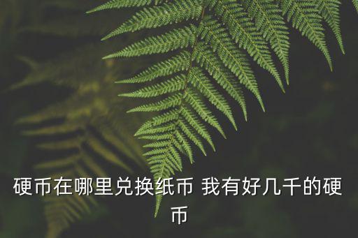 硬幣在哪里兌換紙幣 我有好幾千的硬幣