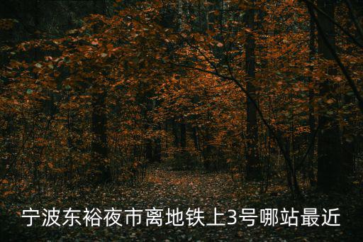 東裕夜市，寧波東裕夜市離地鐵上3號哪站最近