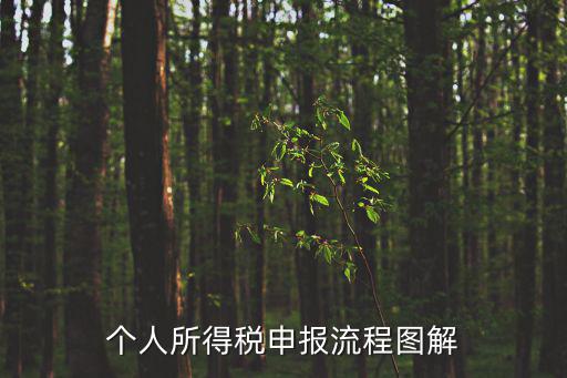 個人所得稅申報流程圖解