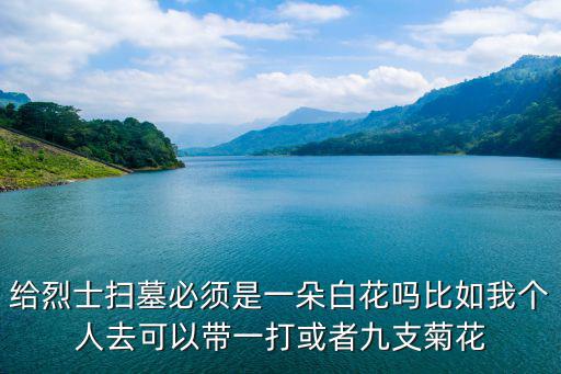 給烈士掃墓必須是一朵白花嗎比如我個人去可以帶一打或者九支菊花