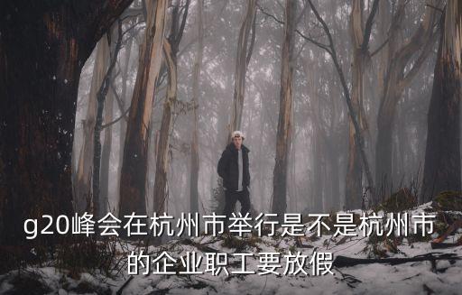 g20杭州，G20峰會是不是每年都在杭州開