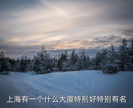 上海超群大廈，上海有一個什么大廈特別好特別有名
