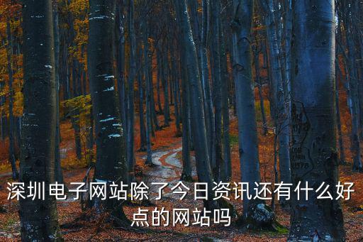 深圳網站，深圳電子網站除了今日資訊還有什么好點的網站嗎