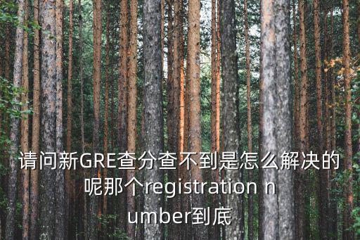 請問新GRE查分查不到是怎么解決的呢那個registration number到底