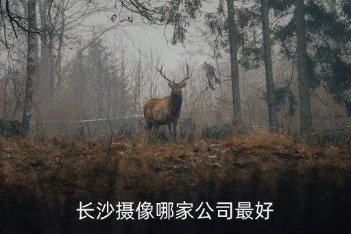 長沙攝像哪家公司最好