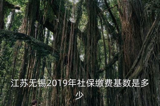 江蘇無錫2019年社保繳費基數是多少