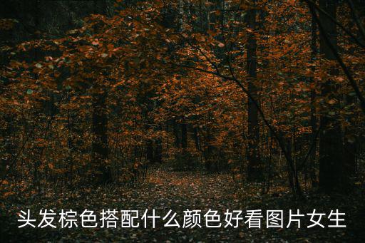 頭發棕色搭配什么顏色好看圖片女生