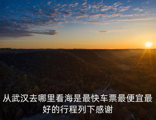 從武漢去哪里看海是最快車票最便宜最好的行程列下感謝