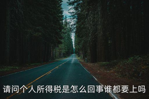 請問個人所得稅是怎么回事誰都要上嗎