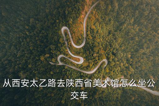 從西安太乙路去陜西省美術館怎么坐公交車