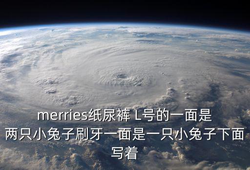 merries紙尿褲 L號的一面是兩只小兔子刷牙一面是一只小兔子下面寫著