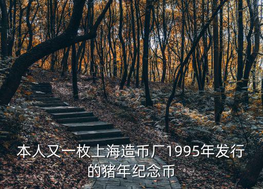 豬年紀念幣，2oo7年豬年發行紀念幣1元紀念幣是錯幣嗎