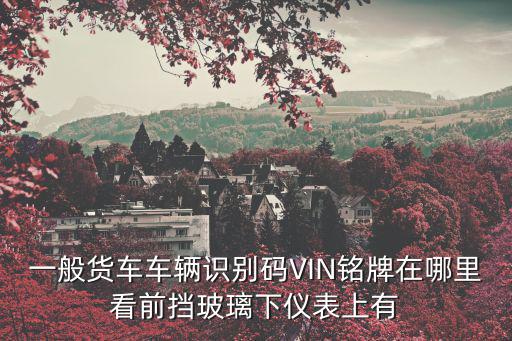 一般貨車車輛識別碼VIN銘牌在哪里看前擋玻璃下儀表上有