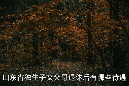 山東省獨生子女父母退休后有哪些待遇