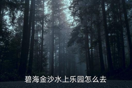 碧海金沙水上樂園怎么去