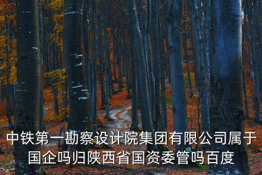 中鐵第一勘察設(shè)計院集團有限公司屬于國企嗎歸陜西省國資委管嗎百度