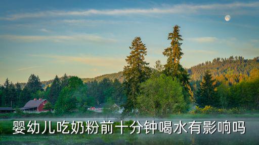 嬰幼兒吃奶粉前十分鐘喝水有影響嗎