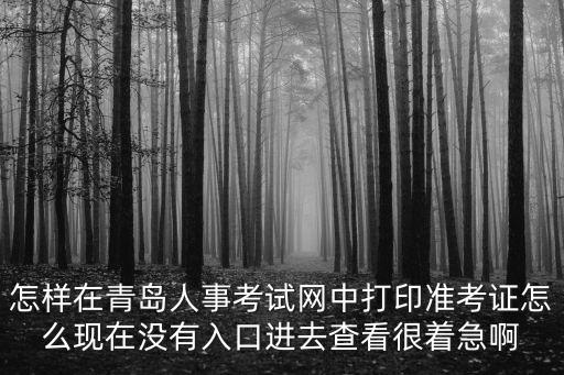 怎樣在青島人事考試網中打印準考證怎么現在沒有入口進去查看很著急啊