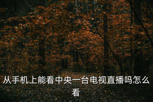 央視1直播，從手機上能看中央一臺電視直播嗎怎么看