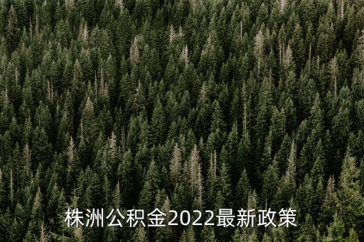 株洲公積金2022最新政策